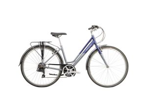 Raleigh Pioneer Tour Low Step 2021 Womens Hybrid Bike - Blue / Grey
