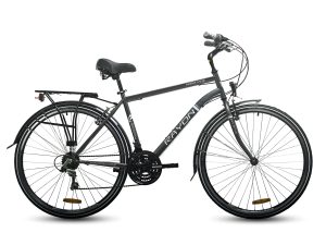 Rayon Horritage Hybrid Bike