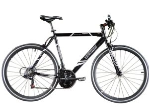 Teman Pro 3.0 Straight Bar  Road Bike