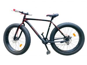 Rayon Big Boy Mountain Bike