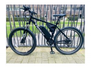Tiger Ace V3 Electric Bike