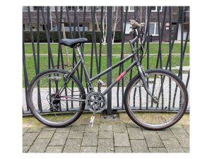 Ladies Customized Hybrid Bike (Silver)