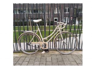 Emmelle Wayfarer Road Bike