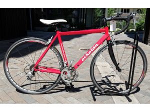 Echelon Road Bike