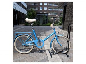 Raleigh Sapphire Kids Bike