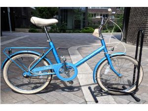 Raleigh Sapphire Kids Bike