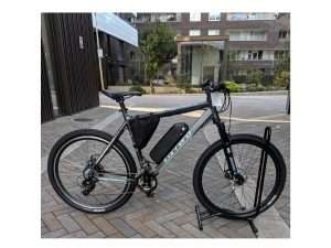 Carrera Electric Bike