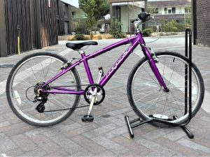 Ridgeback Dimension 24 Kids Bike